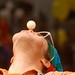 David Scheid Photo 44