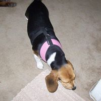 Sandra Staggs Photo 11
