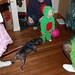 Gregg Garner Photo 9