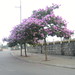 Tim Lang Photo 36