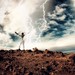 Justin Gibb Photo 7
