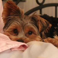 Beverly Huber Photo 7