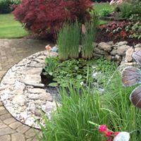 Nancy Prater Photo 33