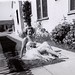 Barbara Arnold Photo 10