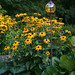 Susan Lamarca Photo 10