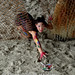 Crystal Rey Photo 14