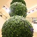 Jimmy Huynh Photo 39