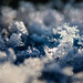 Crystal Snow Photo 12