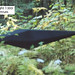 Jonathan Rutter Photo 11