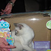 Amy Ouellette Photo 25
