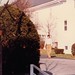 Lori Klein Photo 15