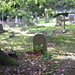Nick Graves Photo 20