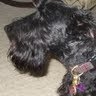 Karen Michaels Photo 7