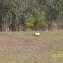 Dallas Thacker Photo 2