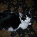 Charlie Tyson Photo 13