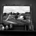 Amy Ballou Photo 16
