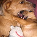 Terry Spaulding Photo 6