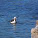 Donna Porter Photo 17