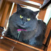 Diane Reid Photo 18