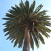 Christine Eckert Photo 2