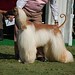 Joann Jones Photo 20