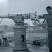 Lawrence Roy Photo 16