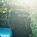 Richard Doughty Photo 31