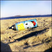 Len Carson Photo 8