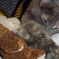 Ruthie Roberts Photo 18