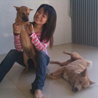 Van Ngo Photo 34