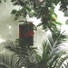 Phillip Ellis Photo 12