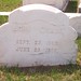 Elizabeth Fogarty Photo 22