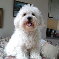 Christine Palmisano Photo 5