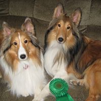 Michele Steinberg Photo 6