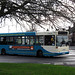 Dennis Stevenson Photo 12