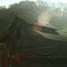 John Borges Photo 10