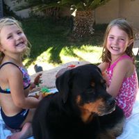 Shelly Hertel Photo 5