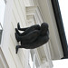 Antony Lang Photo 13