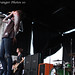 Matthew Nicholls Photo 13