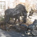 Ian Wolf Photo 13