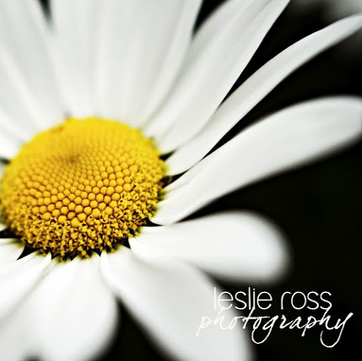 Leslie Ross Photo 11