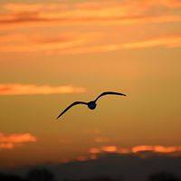 Debbie Greenlee Photo 32
