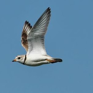 Sue Robison Photo 1