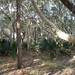 Gail Bruce Photo 27
