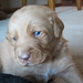 Jeffery Evers Photo 9