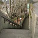 Anne Comstock Photo 12