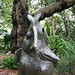 Arthur Boyd Photo 29