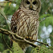 Elizabeth Parks Photo 16