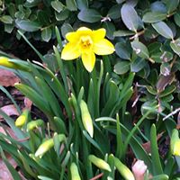 Theresa Spring Photo 7