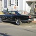 Henry Shelby Photo 7